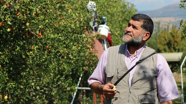 Hünnap ağacından 6 yılda 13 bin adet dikerek tonlarca yetiştirip satıyor.