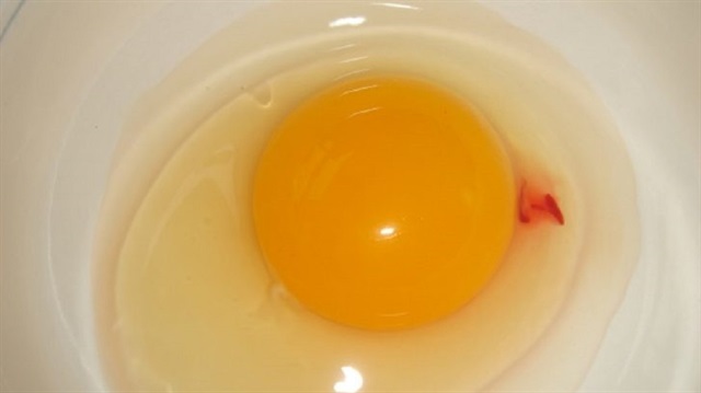 Yumurtada görülen kan, %1 oranından fazla olmadığı belirtildi.
