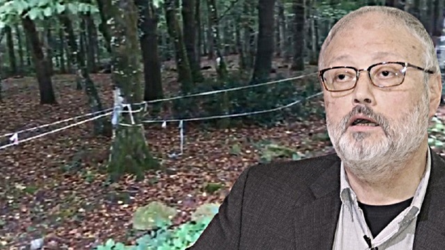 Turkey searches the woods for Khashoggi remains