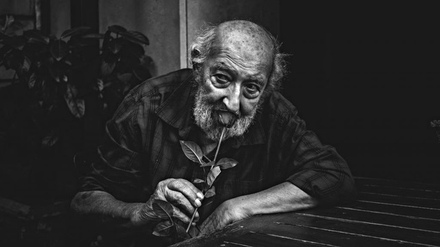 Ara Güler'in eserleri ve fotoğrafları.