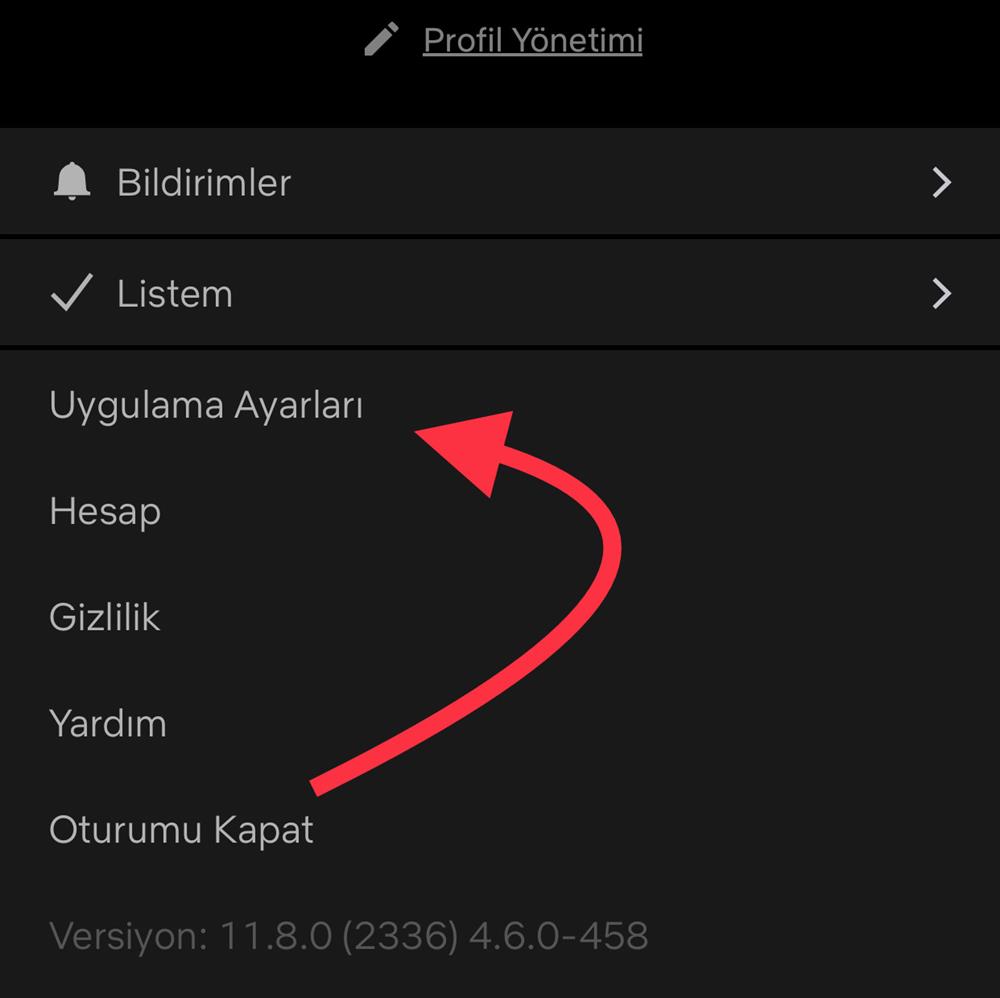netflix ten telefona indirilen dizi ve