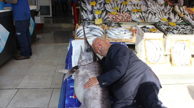 Ağlara takılan dev kılıç balığı Beylikdüzü'ndeki Balıkçı Kenan'da sergileniyor.
