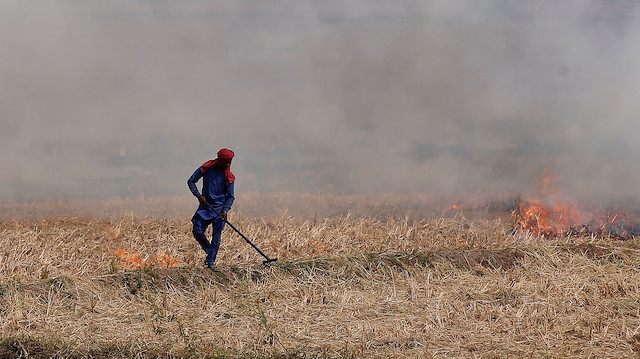 A farmer burns the stubble in a rice field in Zirakpur in the northern state of Punjab, India, October 10, 2018.