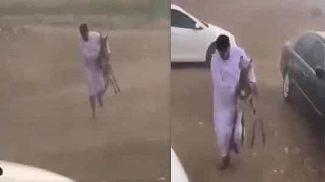 بالفيديو: شاب ينقذ حمارًا من الأمطار الغزيرة
