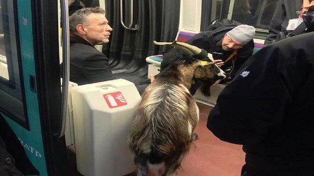 Metroya keçi ile binmeye çalışan adamın foyası sonradan ortaya çıktı.