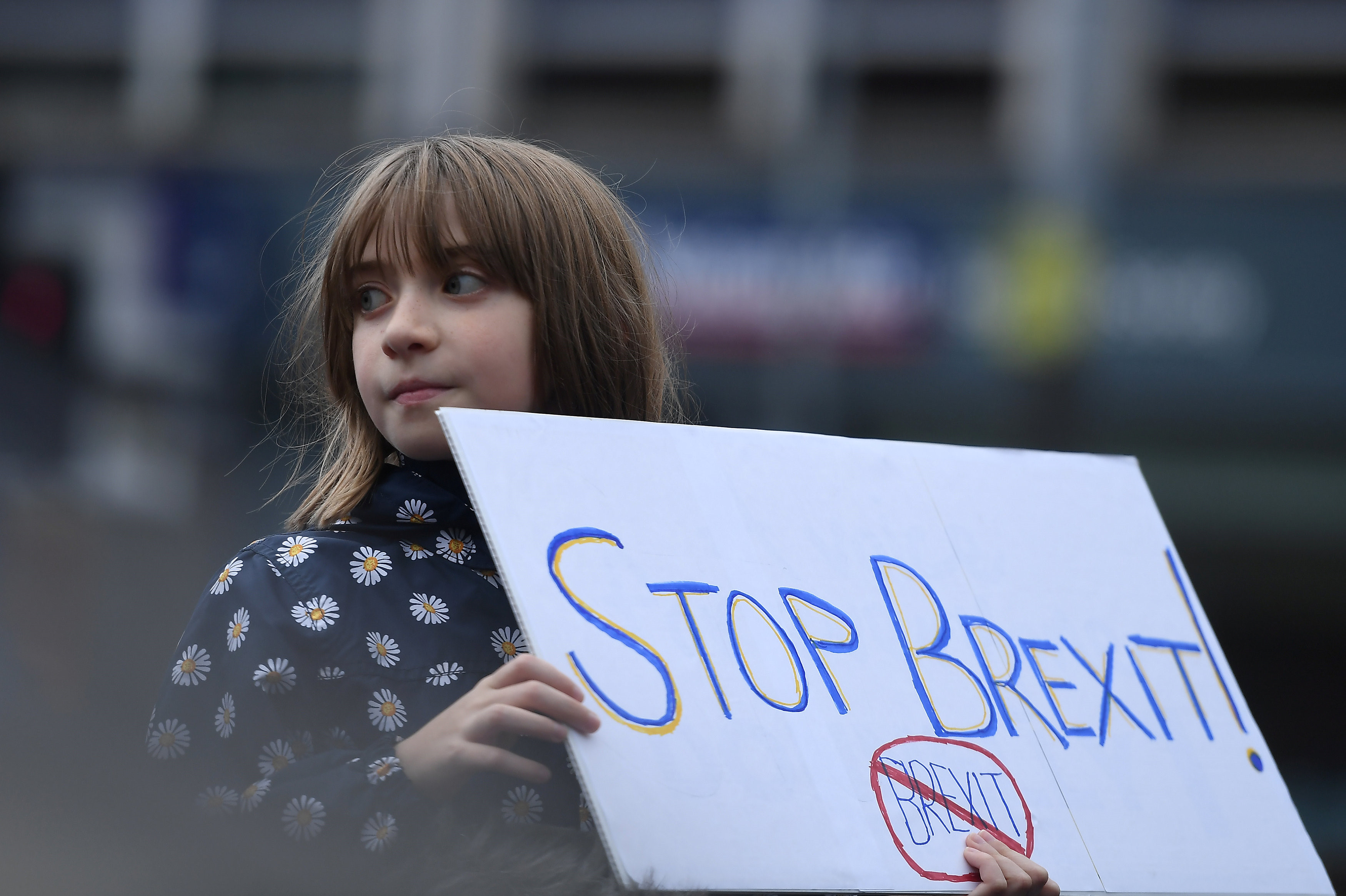 Küçük bir kız, Brexit'i protesto ediyor. 