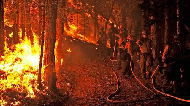 Dünyayı saran orman yangınları hakkında 5 soru- 5 cevap