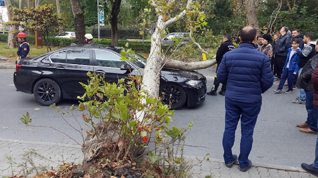 Bakırköy'de ağaç arabanın üstüne devrildi.
