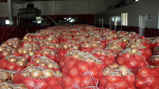 Soğan fiyatları son günlerde yüzde 100 artış göstermişti.