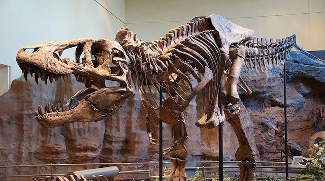 اكتشاف آثار أقدام أصغر ديناصور بالعالم