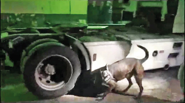TIR'da Narkotik dedektör köpeği Alfa'nın da katılımıyla yapılan aramada 90 kilo eroin ele geçirildi. 