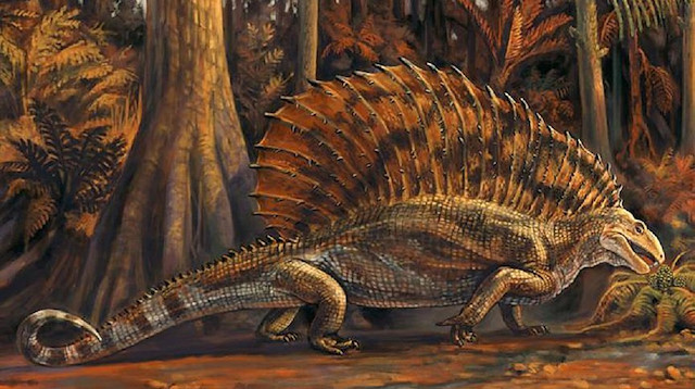 Bulunan fosil sürüngenlerin, dinozorlardan 50 milyon önce yaşadığını ortaya çıkardı.