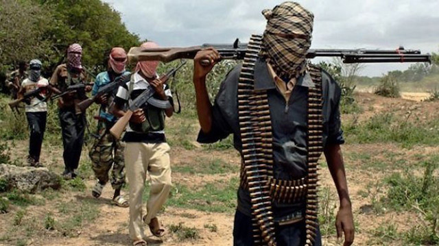 Boko Haram'lı teröristler