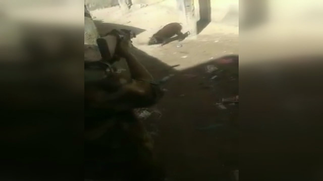Şehre inen domuza polisten silahlı müdahale