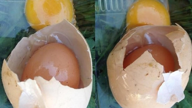 Yumurtanın içinden yumurta çıkan olay ile ilgili Prof. Dr. Ekrem Laçin açıklama yaptı. 