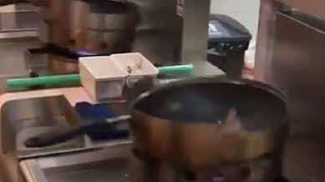 بالفيديو: الشيف الآلي في المطبخ.. فقط قف وتفرج
