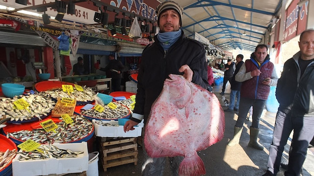 Balıkların paşası 750 liraya alıcı buldu