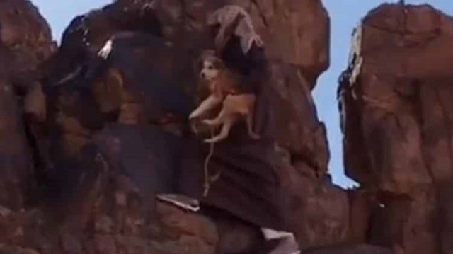 مشهد مؤثر بجبال سلمى.. مواطن يُنقذ كلباً من موقف خطير: هذا ما فعله عندما رآني
