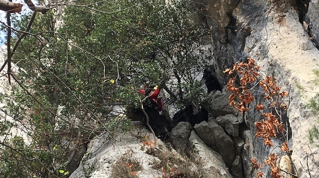 AKUT ekipleri, 6 saat süren çalışma sonunda mahsur kalan 5 keçiyi kurtardı.