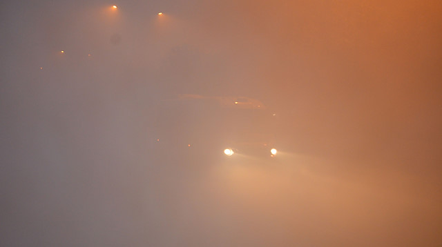 Ardahan'daki yoğun sis sürücülere zor anlar yaşatıyor