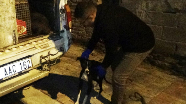 Evinde ölü bulunan Doğan Gençoğlu'nun sürekli havlayan köpeği ekipler tarafından sakinleştirildi.
