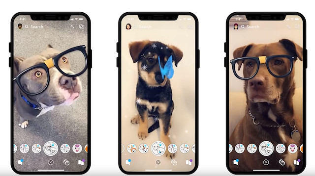 Snapchat'in köpeklere özel lensleri büyük ilgi gördü. 