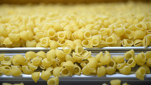 Turkey's pasta industry

