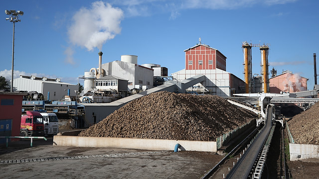 Kayseri Şeker Fabrikasında bu yılki kampanya döneminde 2 milyon 950 bin ton pancar işlendi. 
