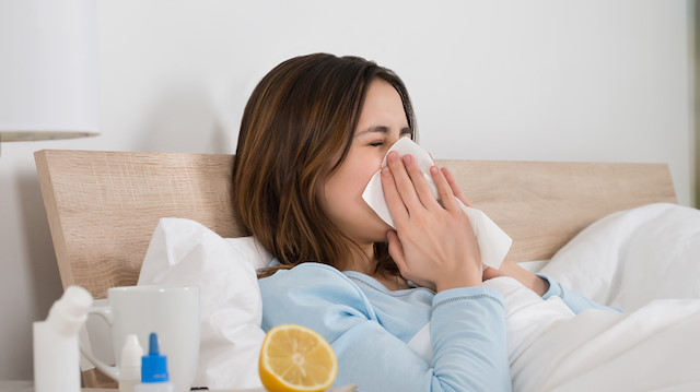 Doktorlar gribe karşı uyardı: 'Gergedan virüsü çeviri hatası'