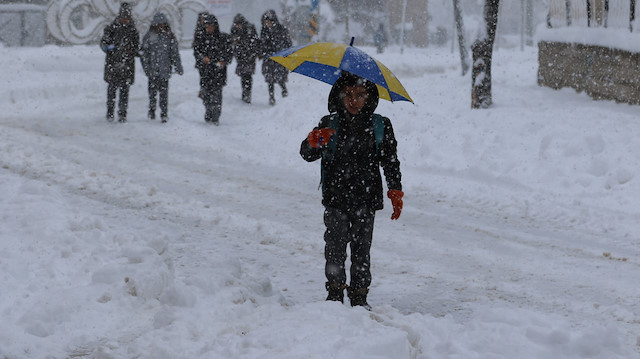 Van'ın bazı ilçelerinde yoğun kar nedeniyle okullar tatil edildi. 