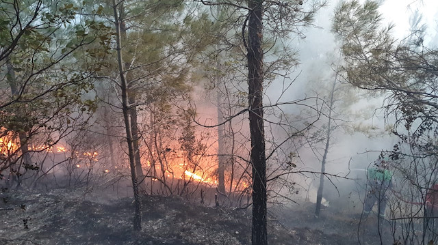 Kontrol altına alınan yangında 2 hektar kızılçam ormanının zarar gördüğü bildirildi.