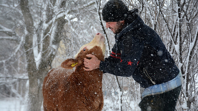 Sinoplu olan ve uzun yıllar babasının işi dolayısıyla İstanbul'da yaşayan Örs, 2014'te girdiği üniversite sınavında Gümüşhane Üniversitesi İlahiyat Fakültesini kazandı.

Yaz tatillerinde gittiği memleketinde hayvancılıkla uğraşan dedesi ve anneannesine yardım eden ve onlardan hayvan bakımını öğrenen Örs, Gümüşhane'de boş zamanlarını değerlendirmek amacıyla hayvancılık yapmaya karar verdi.