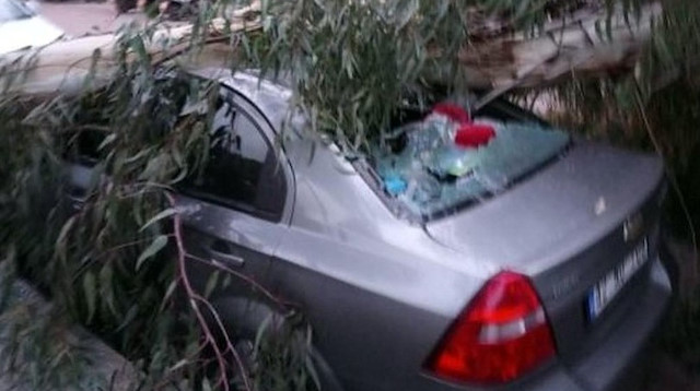 İzmir'de etkili olan fırtına beraberinde çok sayıda maddi hasarı da beraberinde getirdi. Uçan ağaçlar araçların üzerine devrildi.