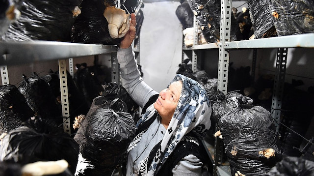 Belediye kursunda eğitim aldılar, şimdi artan talebe yetişemiyor.