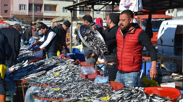 Karadeniz hamsisinin kilosu 15 liradan satılıyor.