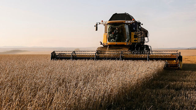  A combine harvests wheat in a field of the Solgonskoye private farm 