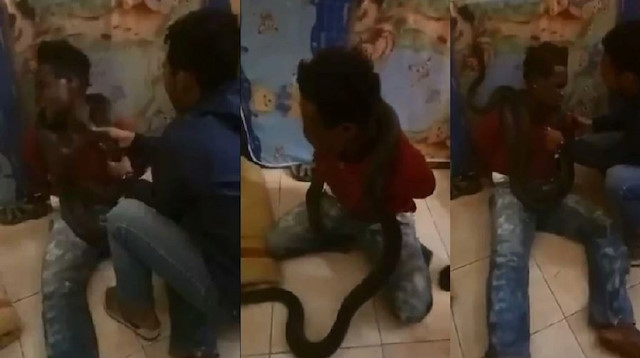 Endonezya'da bir zanlıya yılanla işkence yapıldı.