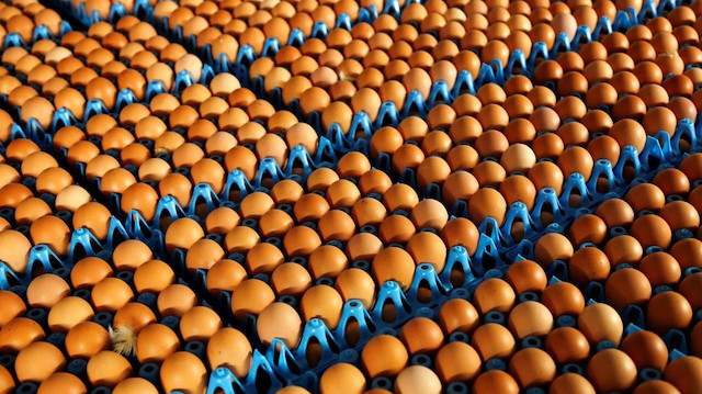 Tavuk yumurtası üretimi yüzde 1.3 azaldı.