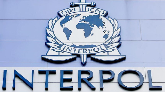 Interpol Logo