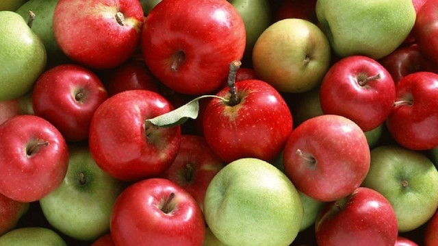 Cumhurbaşkanı Erdoğan’ın Isparta'daki açıklamalarından sonra elma tanzimi gündeme geldi.
