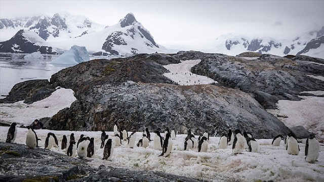 Dünyanın en soğuk kıtası olarak nitelendirilen Antarktika'da, sadece bilimsel araştırmaların yapıldığı üslerin faaliyet göstermesine izin veriliyor. 