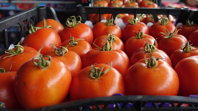 Ukrayna, Türkiye'den gönderilen 17 ton domatesi geri çevirdi.