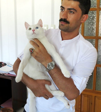 Çetin Talay, kedisinin yanlış ameliyat kurbanı olduğunu, kendisinin de maddi ve manevi zarar uğradığını söyledi.