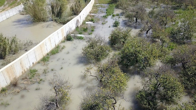 Lemas Deresi'nin taşması sonucu limon bahçeleri ve muz seralarını su bastı.