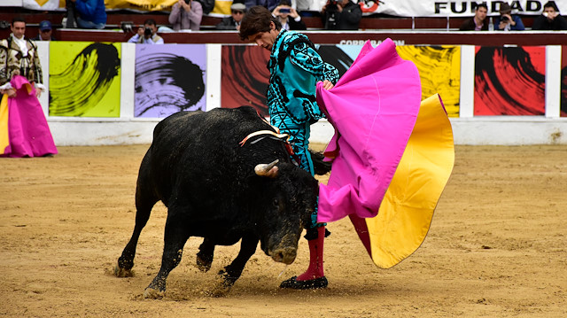 Siyaset arenasına bazı önemli matadorların aday gösterilmesi dikkati çekti.