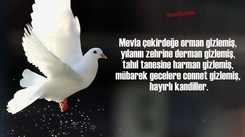 Kandil Mesajlari Anlamli Resimli Resimsiz Kisa Gorsel Guzel Berat Kandili Mesajlari Yeni Safak
