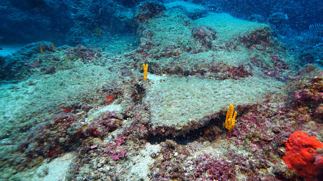 3,600-year-old shipwreck found in Antalya