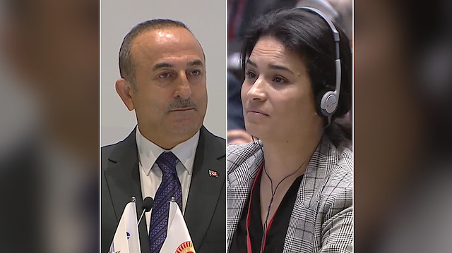 Dışişleri Bakanı Mevlüt Çavuşoğlu ve  Fransız Parlamenter Sonia Krimi.