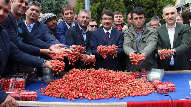 Manisa’da ilk erkenci kirazın kilosu sembolik olarak 250 TL’den satıldı.