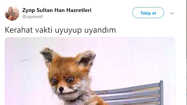 Uyandıktan sonra tam olarak böyleyiz